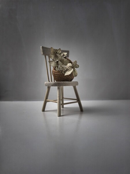 Photograph Julia Zherechenko Still Life on One Eyeland